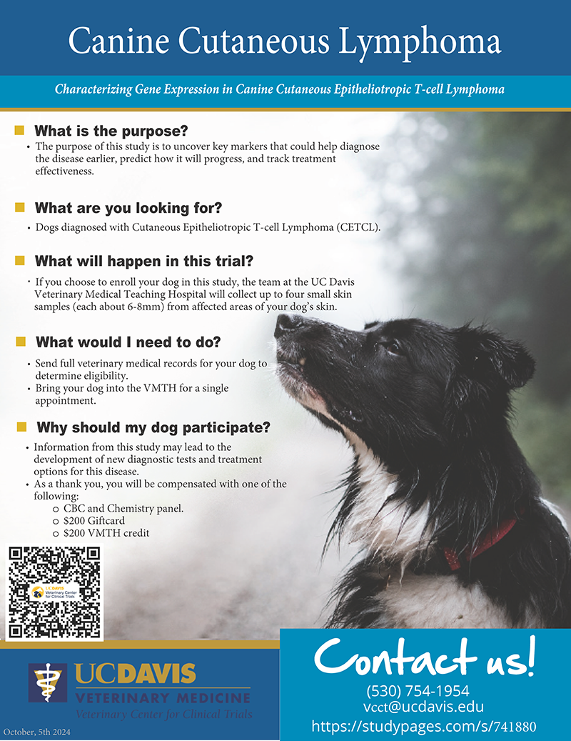 CETCL Flyer cover