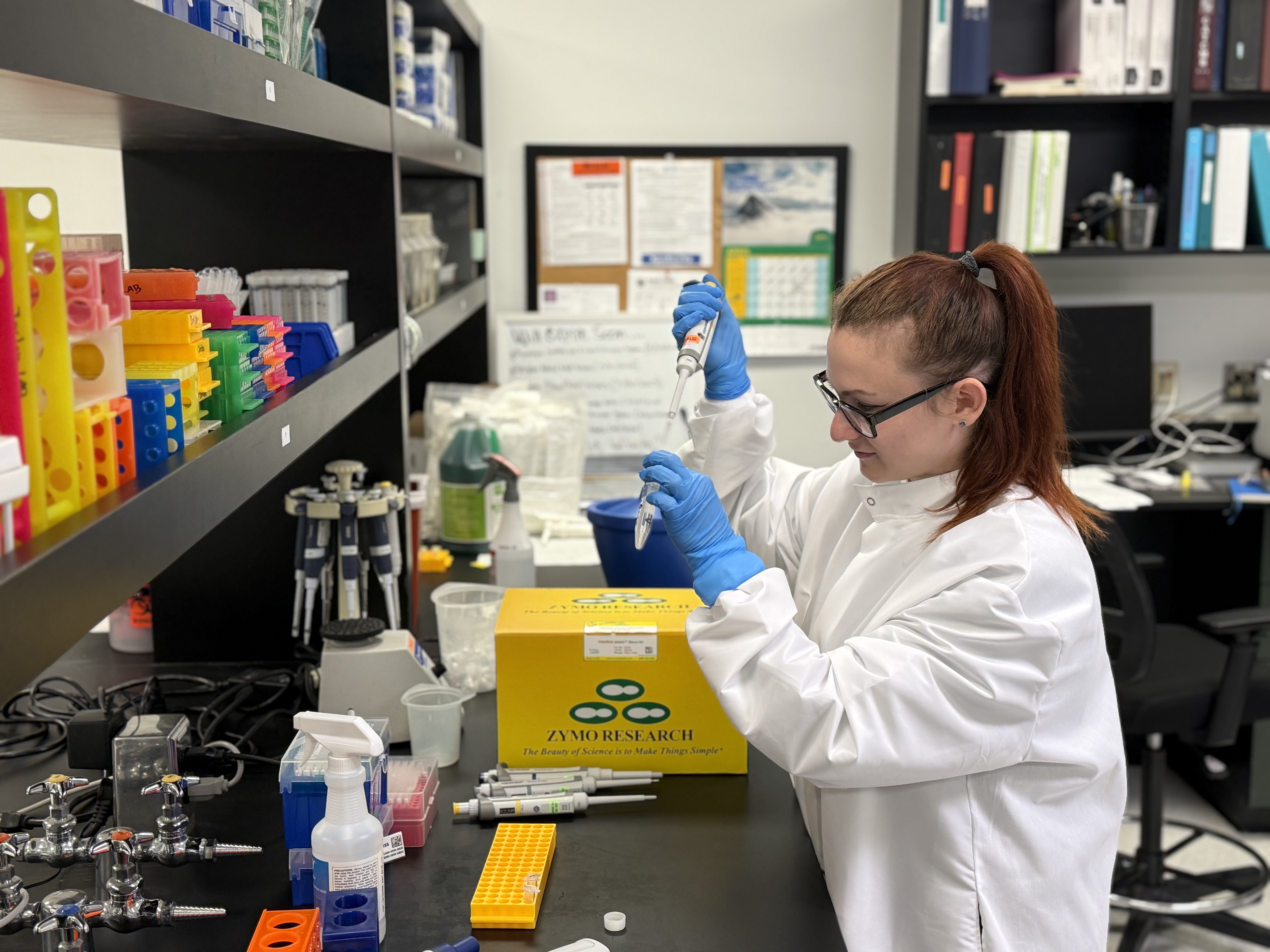 Researcher at work in a lab.